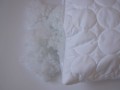 DSCN7922.JPG